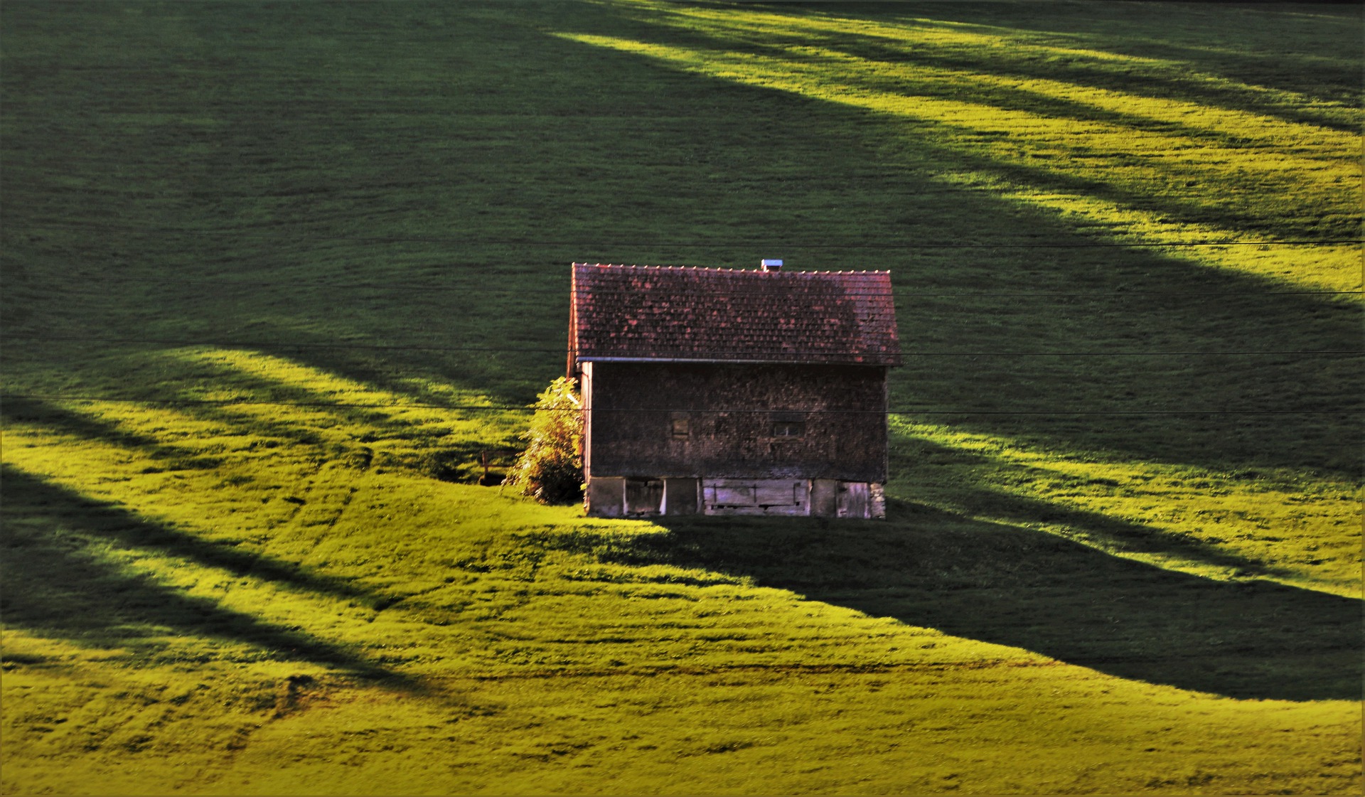 dawn-5011545_1920.jpg